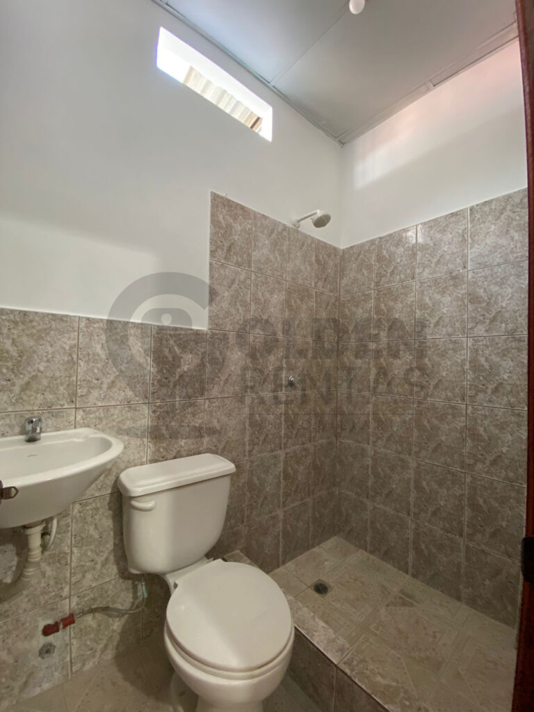 Imagen-de-WhatsApp-2024-08-04-a-las-10.10.55_41a3c86a-2